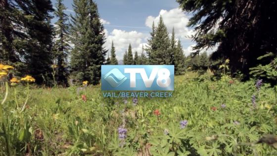 TV8 Production Demo Reel